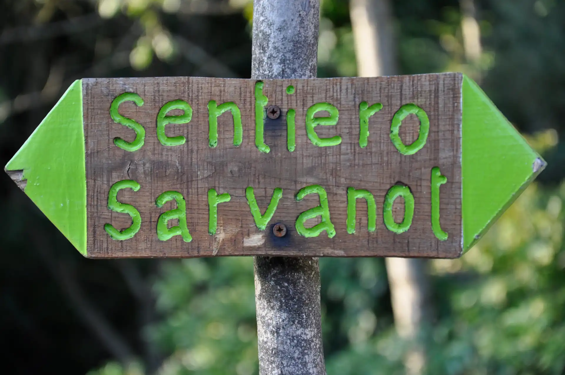 Quattro passi in montagna - Passeggiata nel sentiero del Sarvanot, Monterosso Grana (CN), Valle Grana