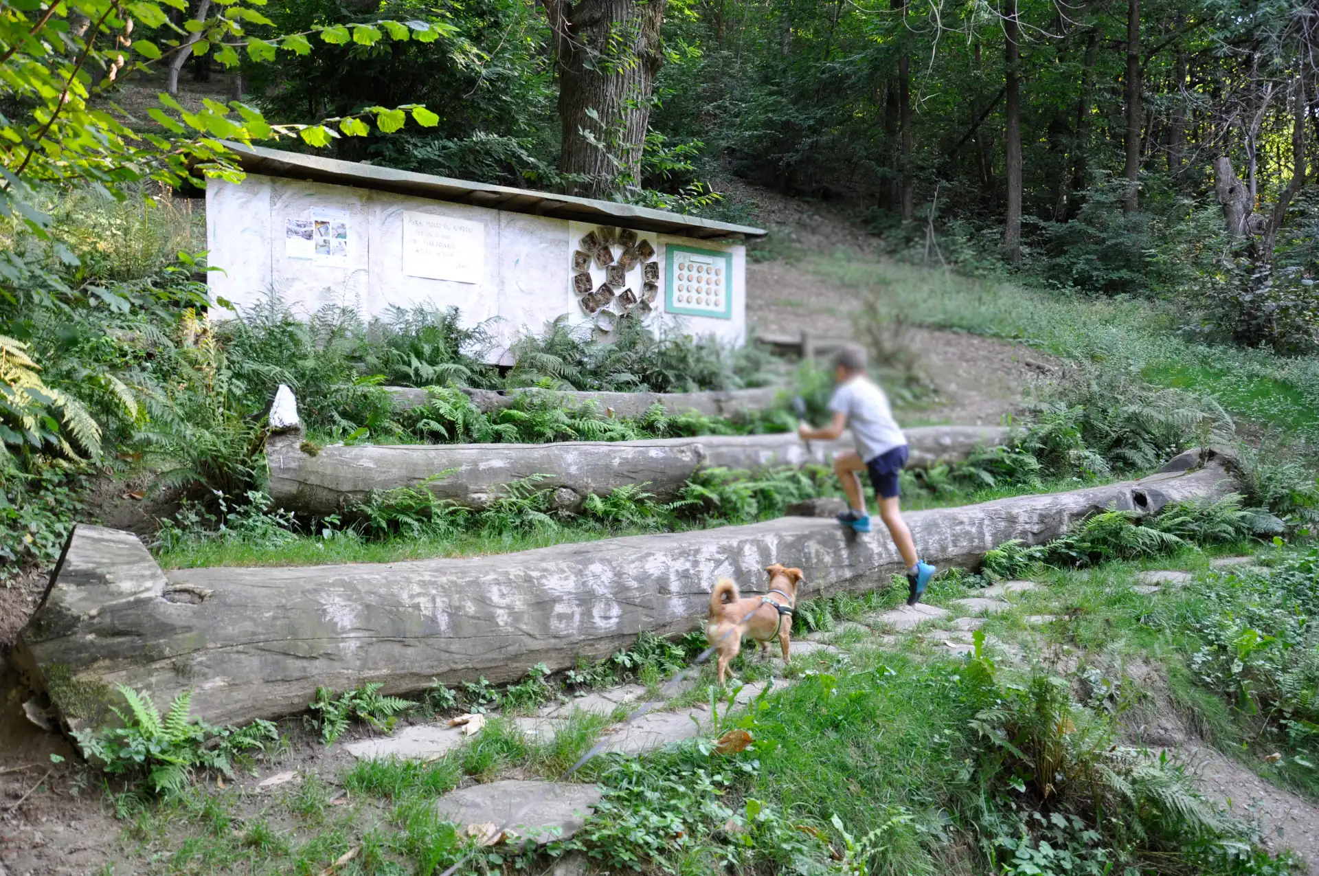 Quattro passi in montagna - Passeggiata nel sentiero del Sarvanot, Monterosso Grana (CN), Valle Grana