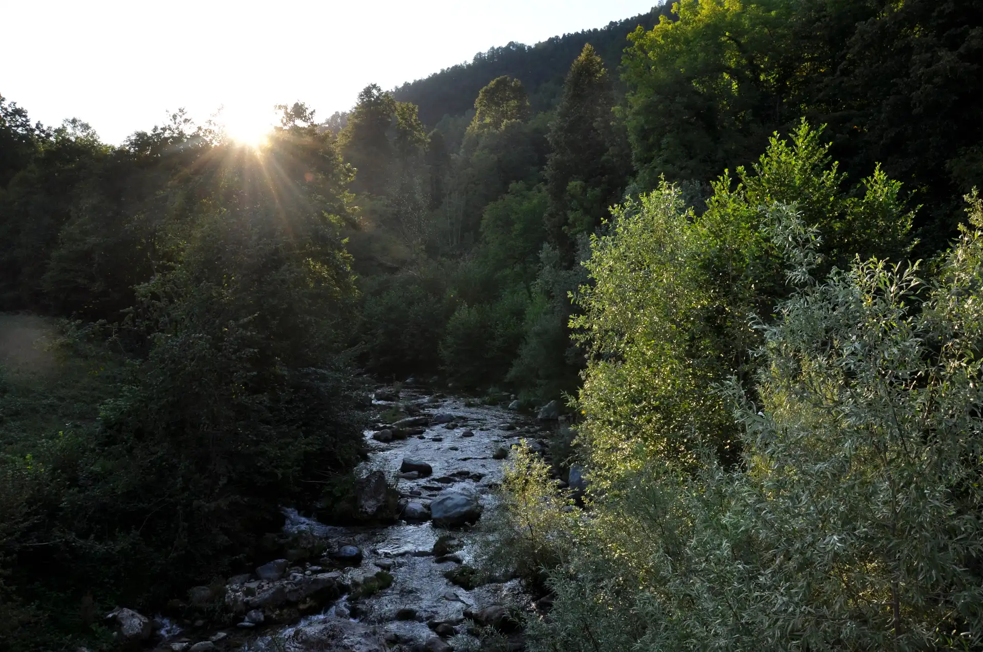 Quattro passi in montagna - Passeggiata nel sentiero del Sarvanot, Monterosso Grana (CN), Valle Grana