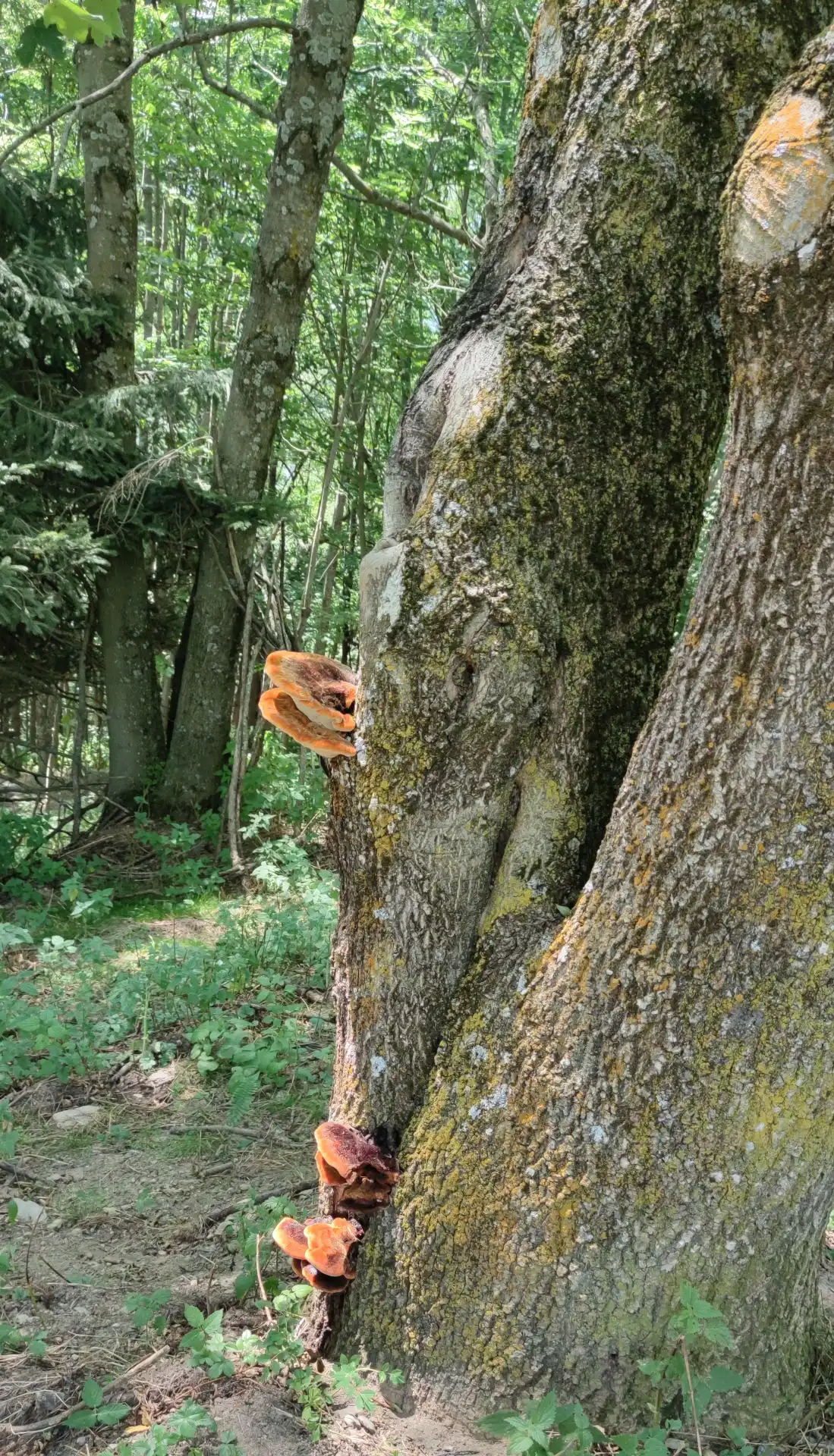 Quattro passi in montagna - Ferragosto ad Ostana, dal Santuario di San Chiaffredo, Crissolo