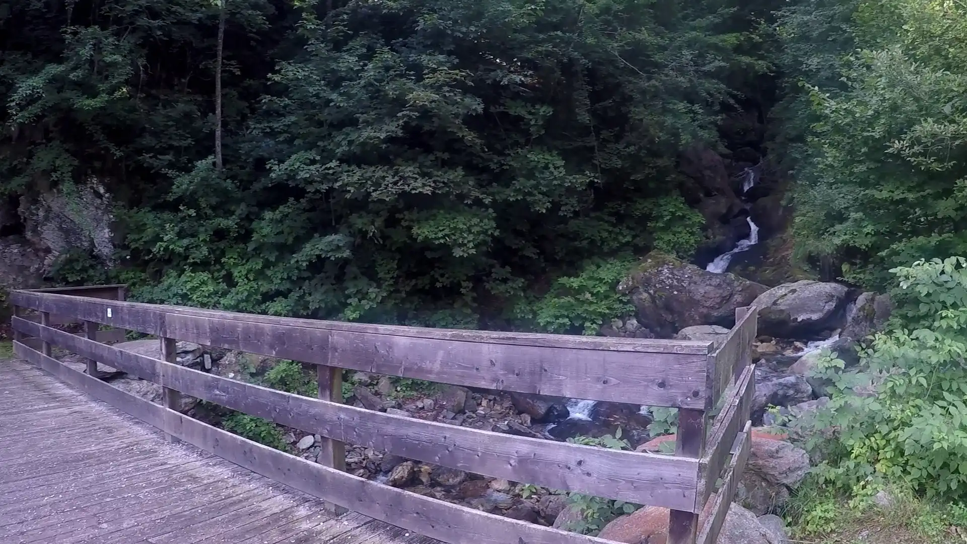 Quattro passi in montagna - Salita al Monte Tivoli da Crissolo, valle Po