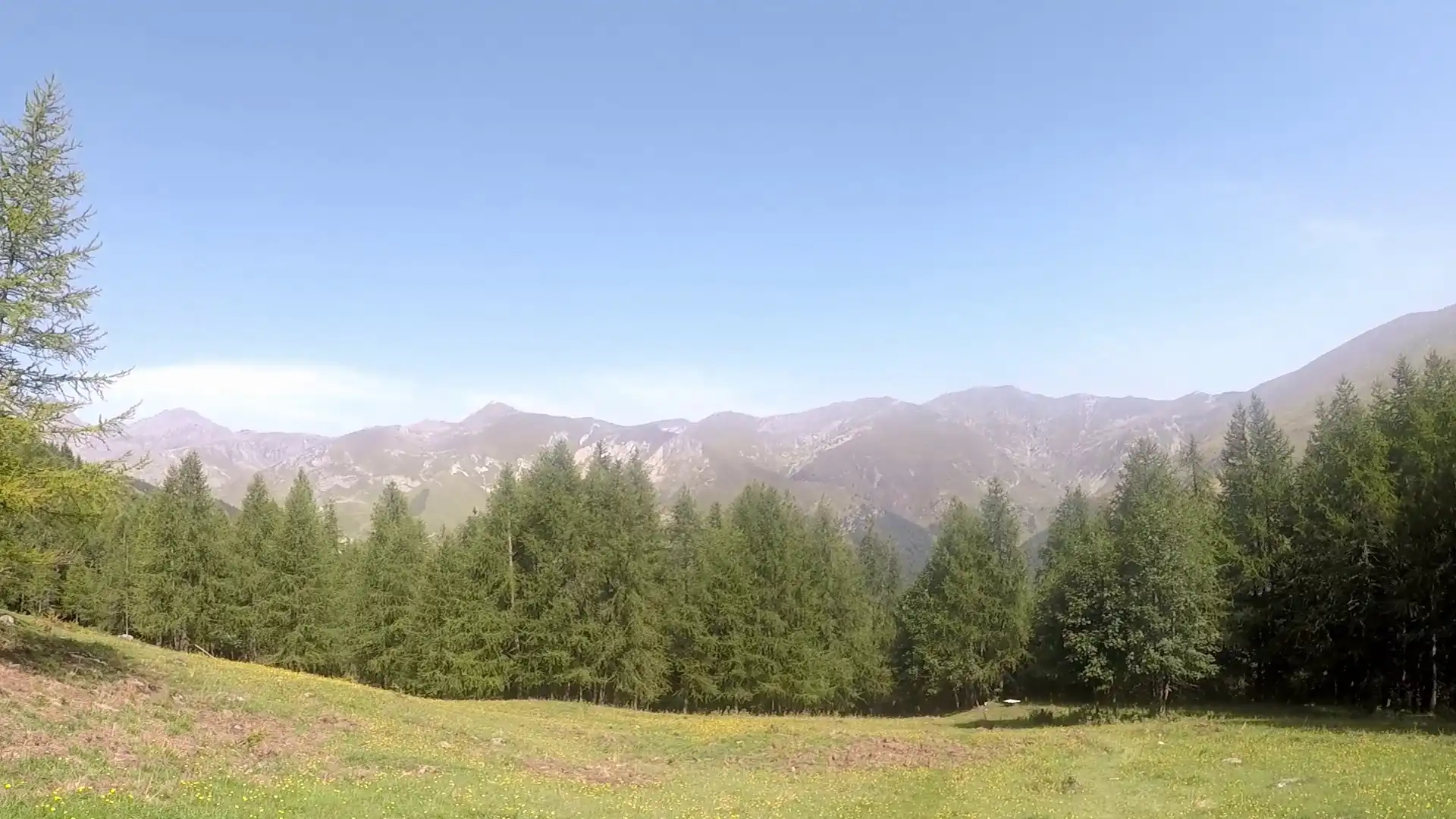 Quattro passi in montagna - Salita al Monte Tivoli da Crissolo, valle Po