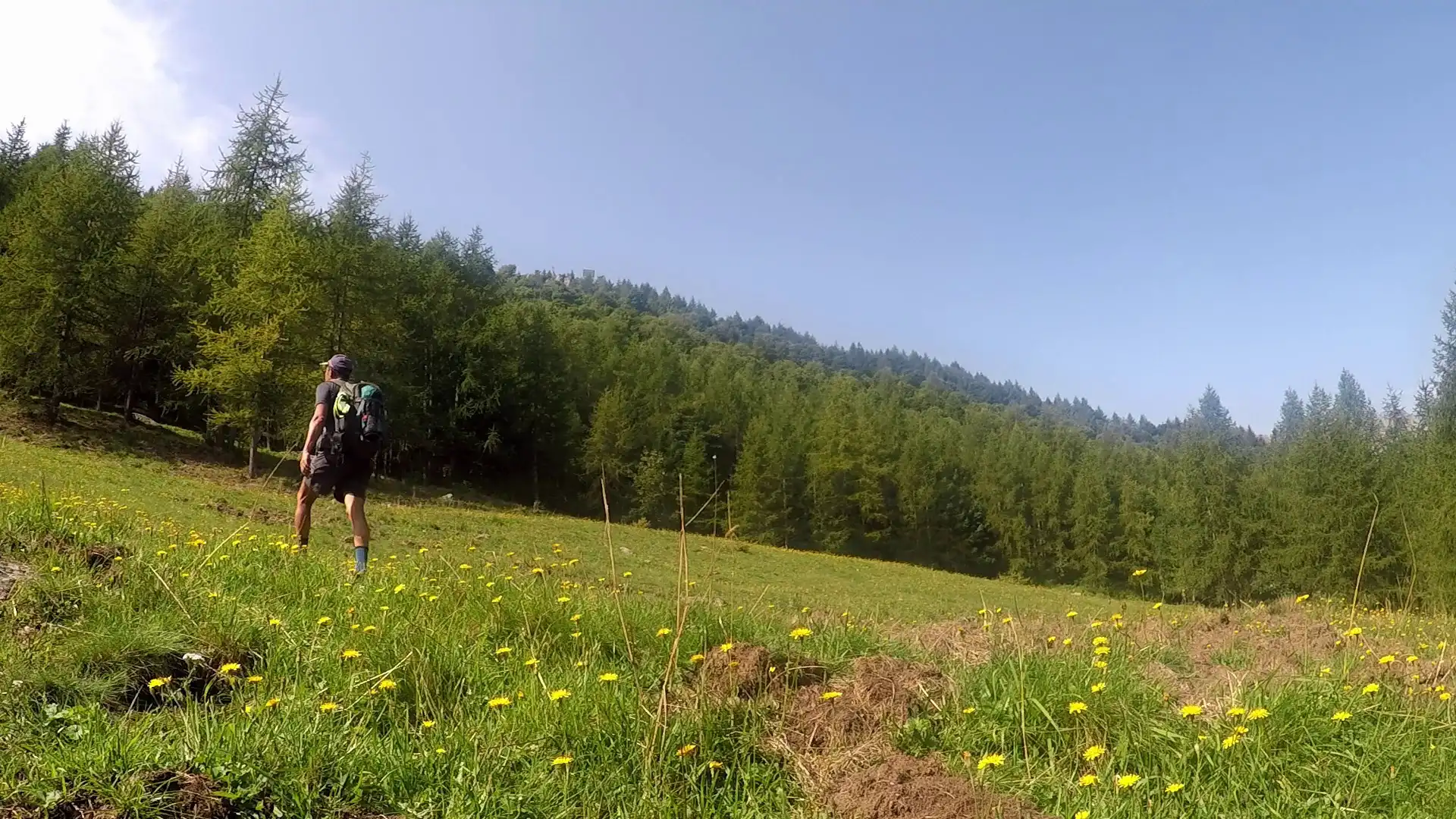 Quattro passi in montagna - Salita al Monte Tivoli da Crissolo, valle Po