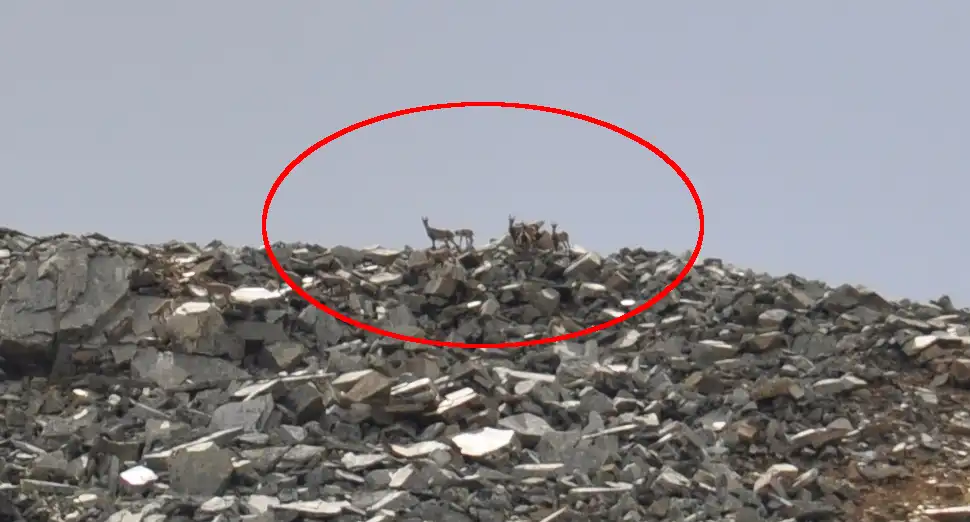 Quattro passi in montagna - Colle della Terra, Gran Paradiso - Il racconto