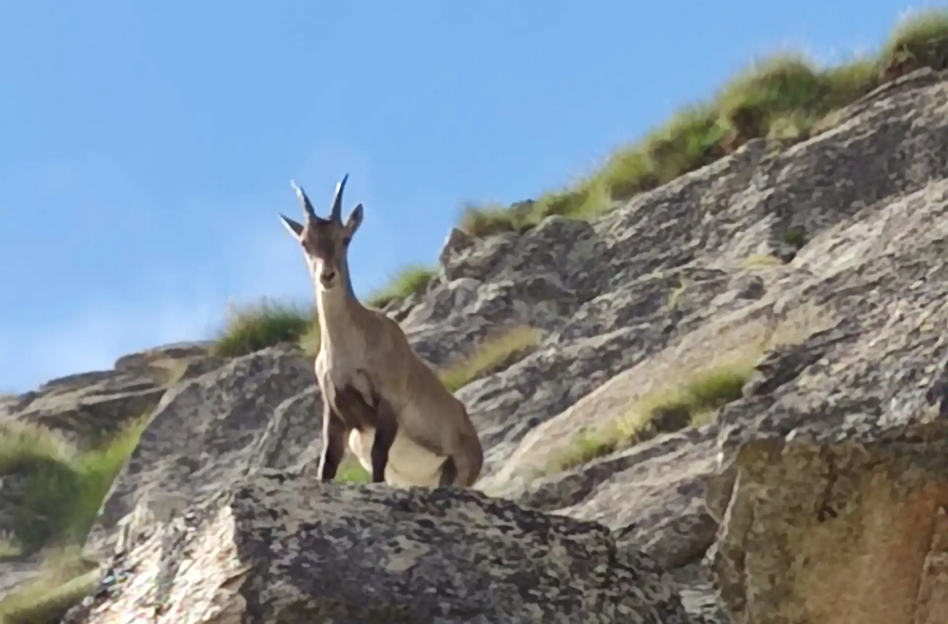 Quattro passi in montagna - Colle della Terra, Gran Paradiso - Il racconto