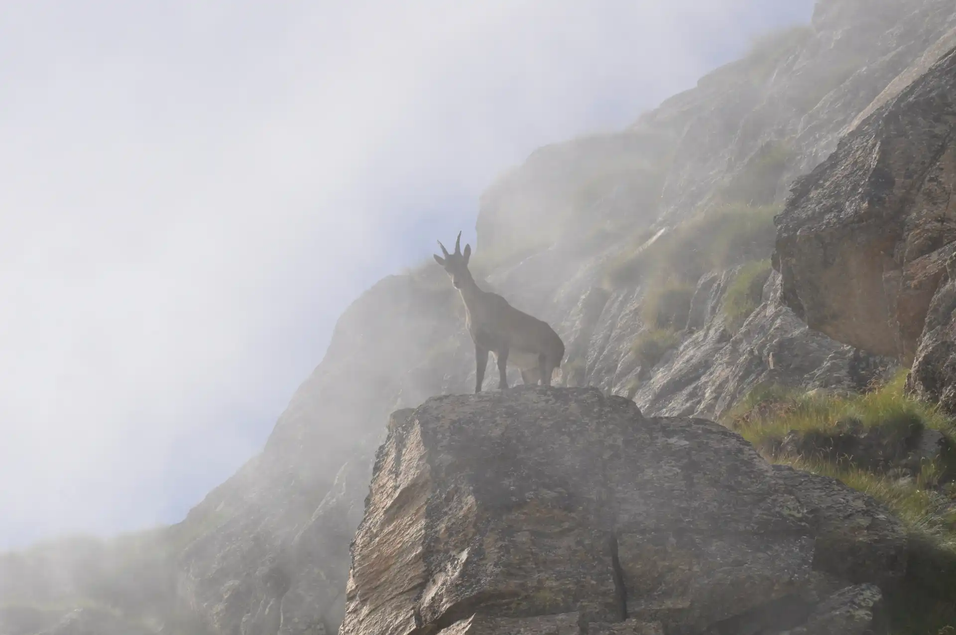 Quattro passi in montagna - Colle della Terra, Gran Paradiso - Il racconto