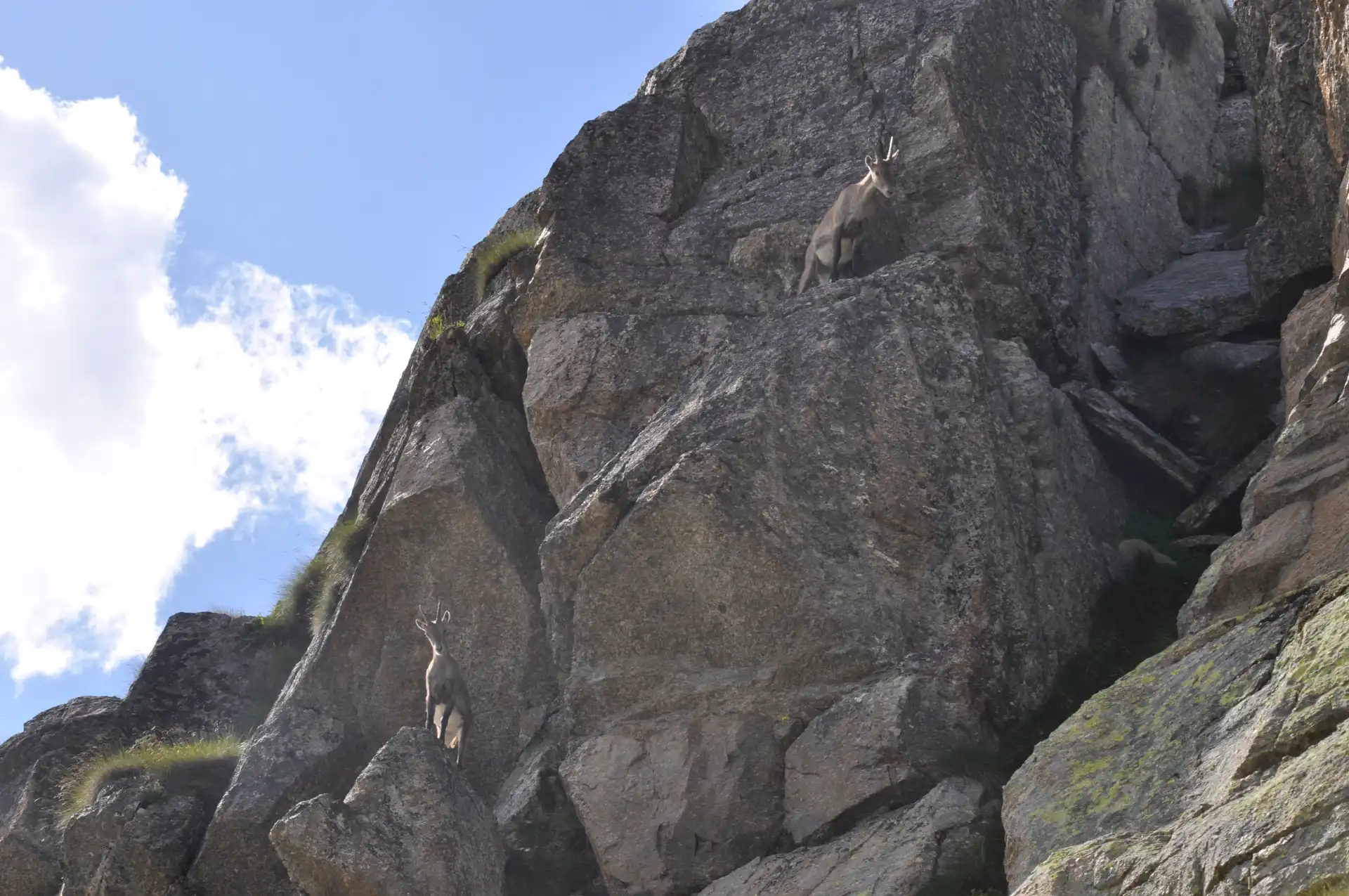 Quattro passi in montagna - Colle della Terra, Gran Paradiso - Il racconto