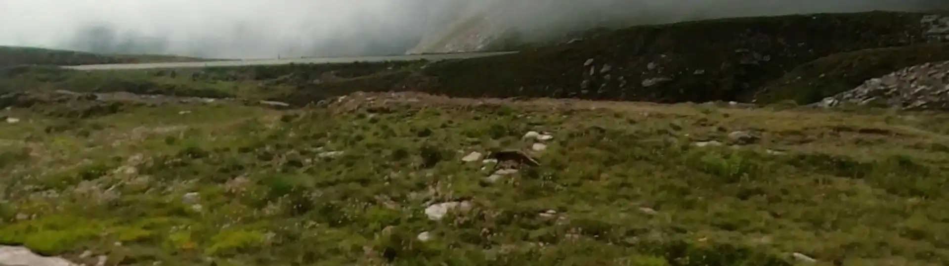 Quattro passi in montagna - Colle della Terra, Gran Paradiso - Il racconto