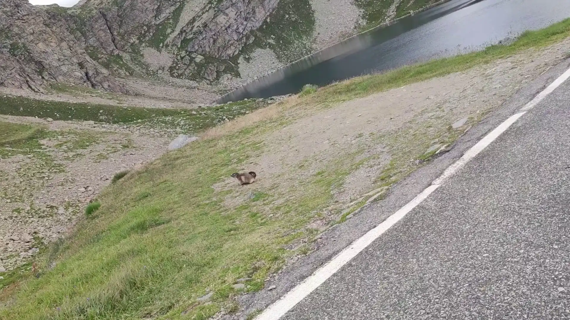 Quattro passi in montagna - Colle della Terra, Gran Paradiso - Il racconto