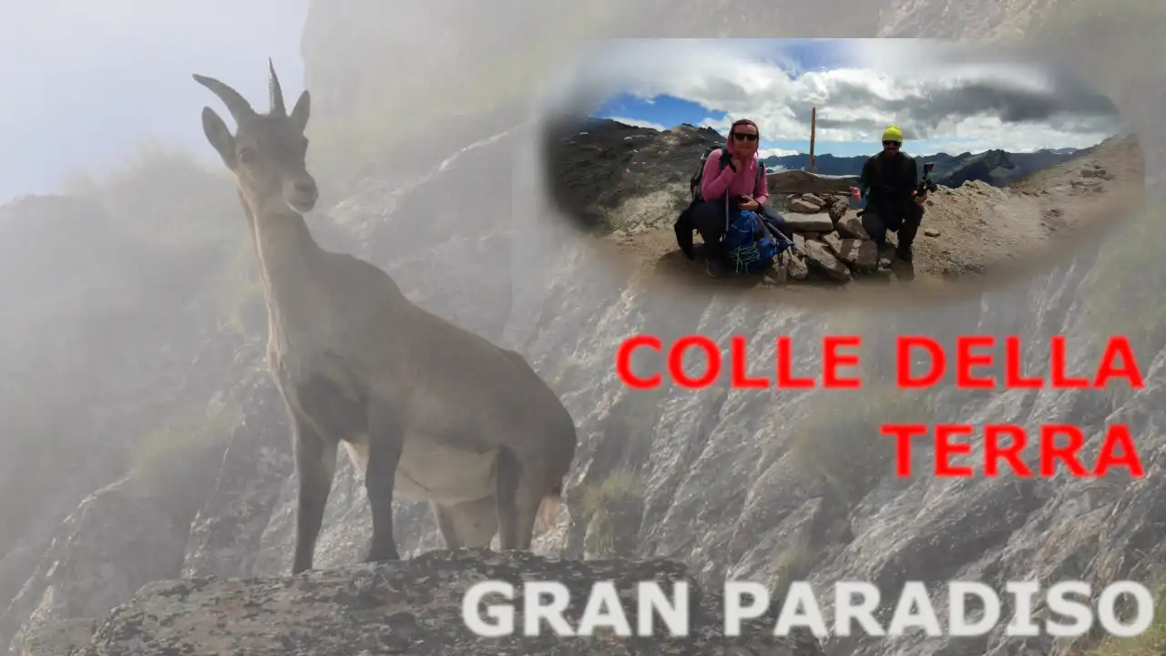 VLog - Estate 2023 - Trekking al Colle della Terra (2900mt), con incontri inaspettati - Parco del Gran Paradiso