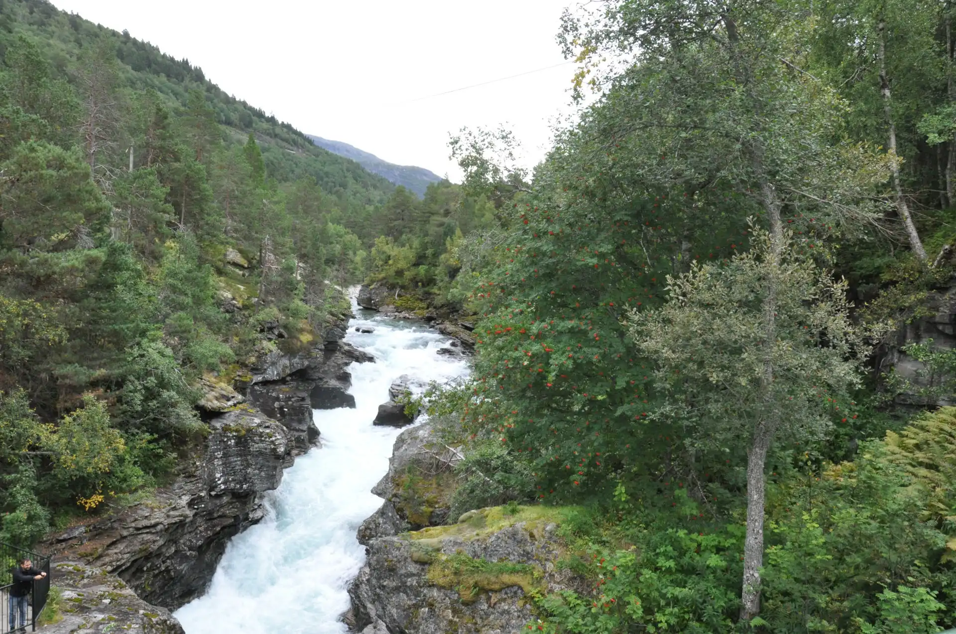 Norvegia 2024 - Giorno 3 - Il racconto - Sulla strada dei TROLLS (Trollstigen), destinazione ALESUND