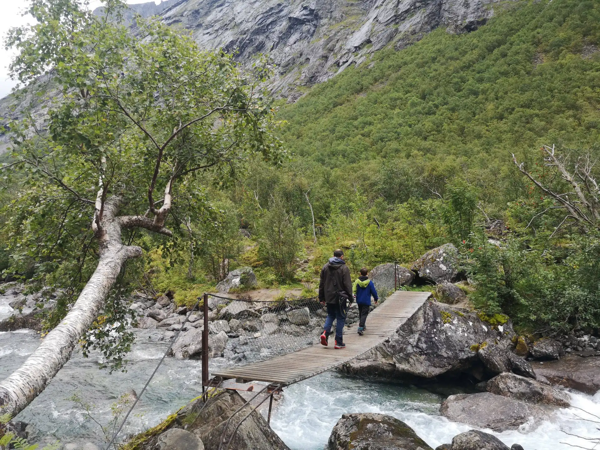Norvegia 2024 - Giorno 3 - Il racconto - Sulla strada dei TROLLS (Trollstigen), destinazione ALESUND