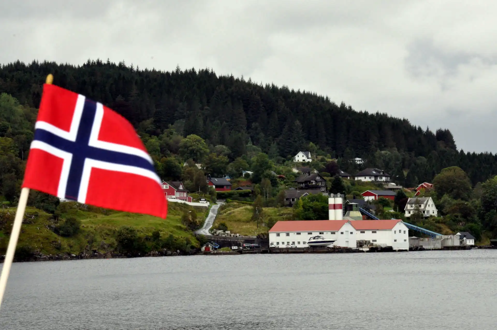 Norvegia 2024 - Giorno 6 - Il racconto - BERGEN, mercato del pesce e crociera sui fiordi