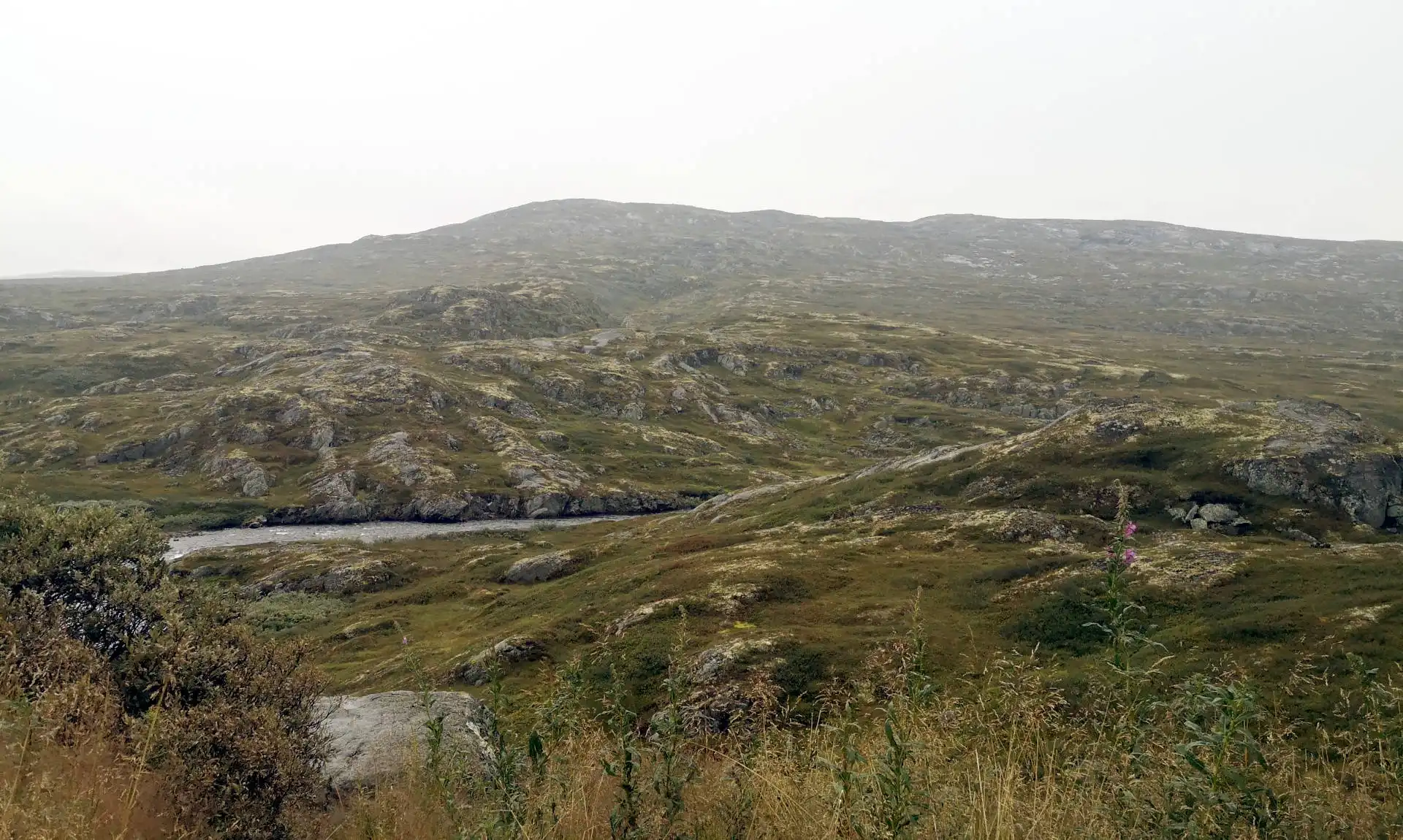 Norvegia 2024 - Giorno 7 - Il racconto - Da BERGEN a GOL, in mezzo a cascate e panorami mozzafiato