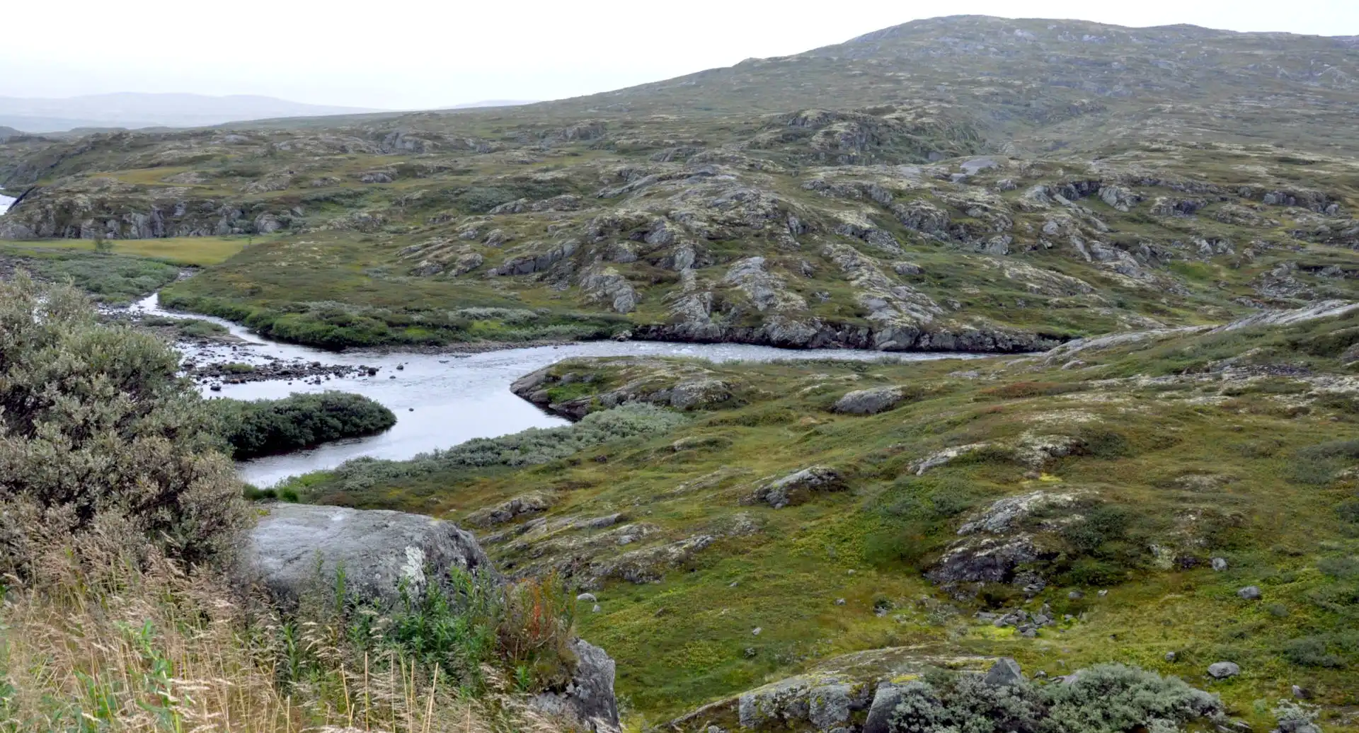 Norvegia 2024 - Giorno 7 - Il racconto - Da BERGEN a GOL, in mezzo a cascate e panorami mozzafiato