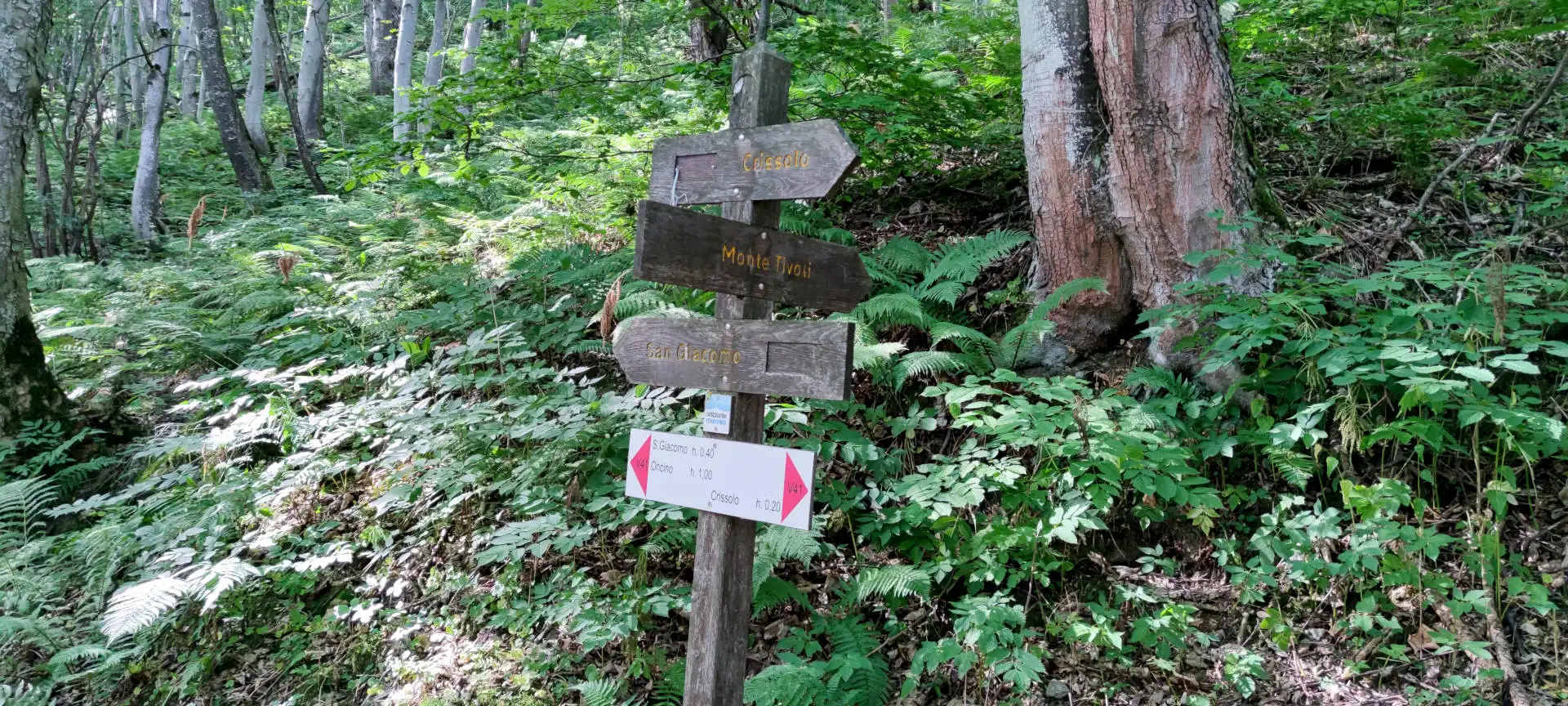 Quattro passi in montagna - Estate 2025 - Panchina Gigante e Borgo di Oncino, Crissolo - Valle PO - Il racconto
