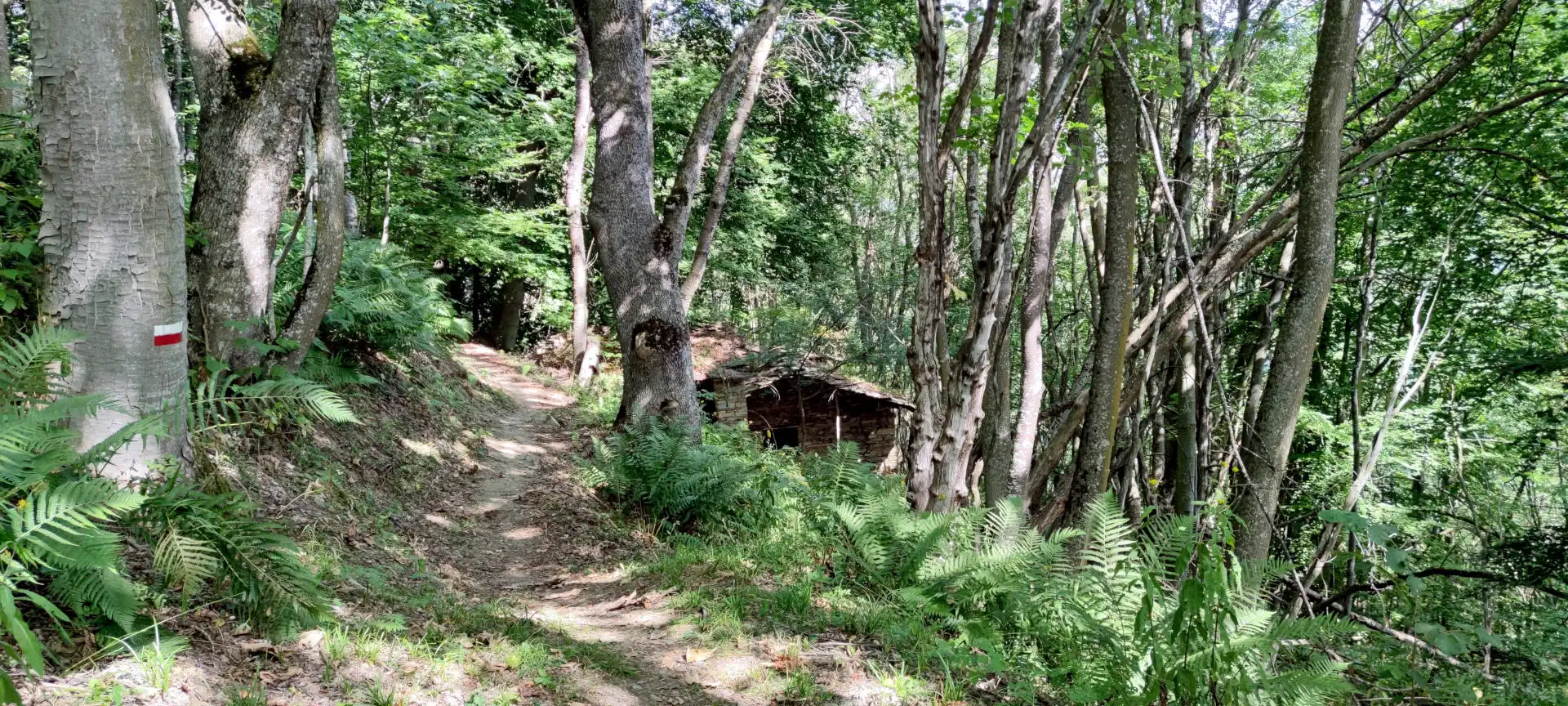 Quattro passi in montagna - Estate 2025 - Panchina Gigante e Borgo di Oncino, Crissolo - Valle PO - Il racconto