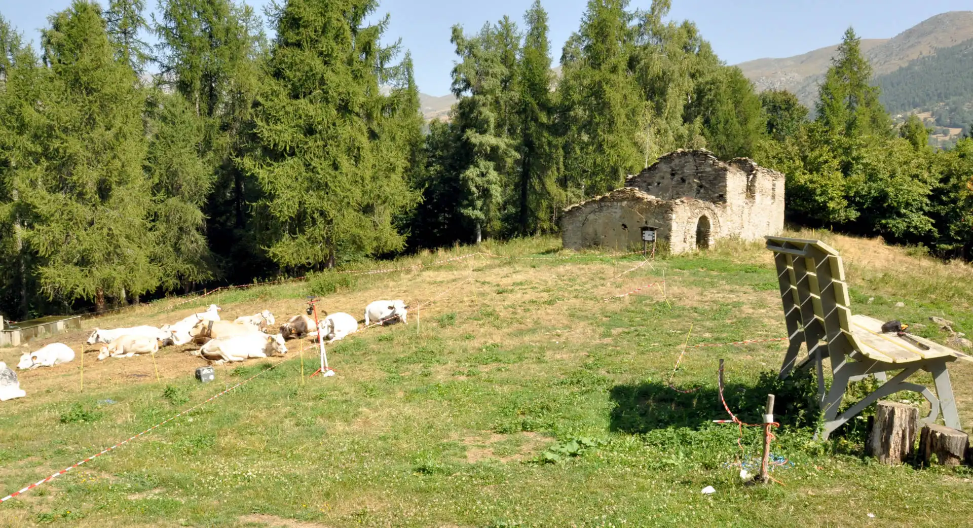 Quattro passi in montagna - Estate 2025 - Panchina Gigante e Borgo di Oncino, Crissolo - Valle PO - Il racconto