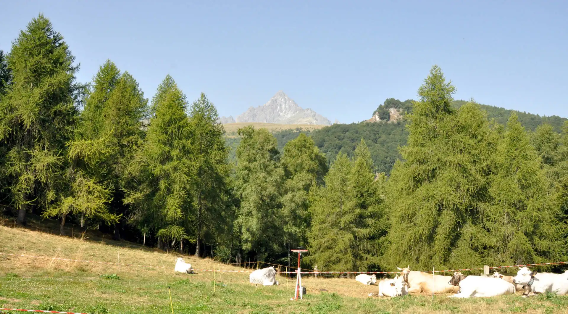 Quattro passi in montagna - Estate 2025 - Panchina Gigante e Borgo di Oncino, Crissolo - Valle PO - Il racconto