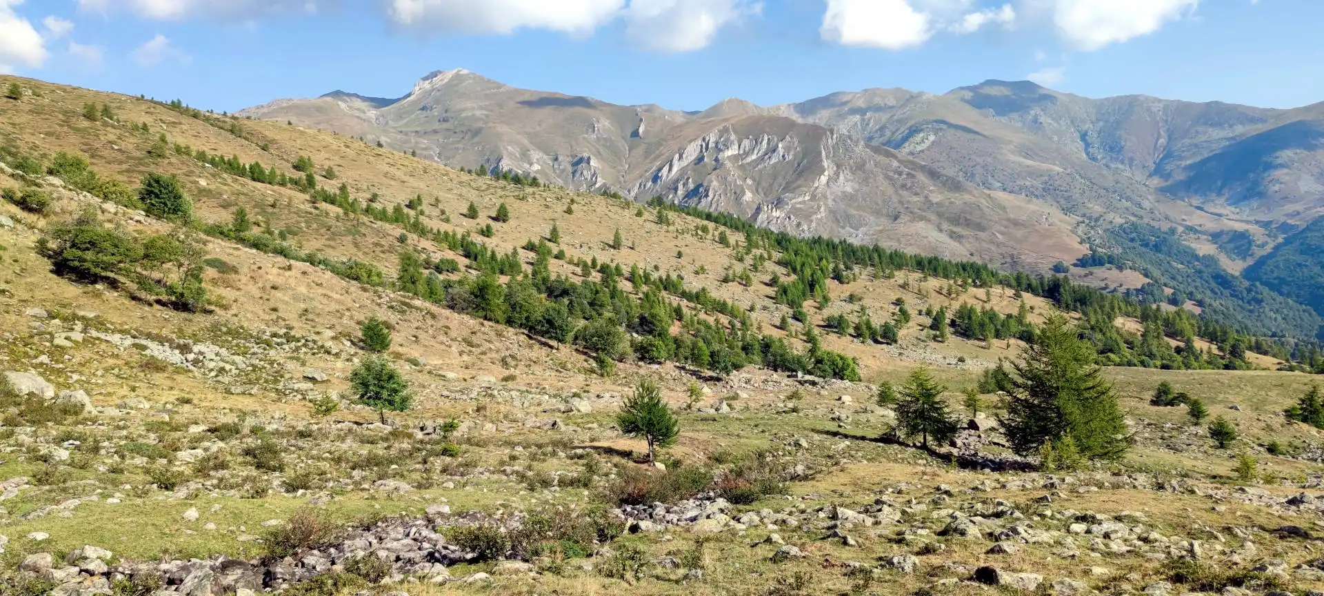 Quattro passi in montagna - Estate 2025 - Rifugio Quintino Sella e Viso Mozzo da Crissolo - Valle PO - Il racconto