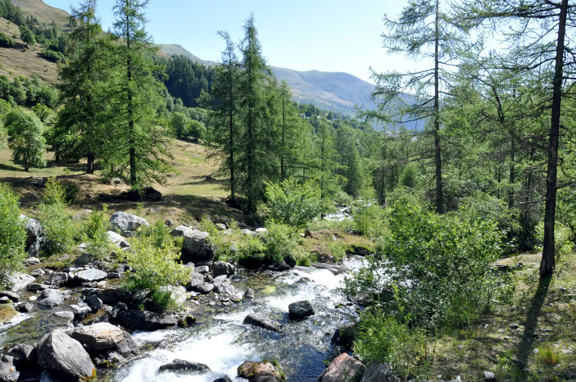 Quattro passi in montagna - Estate 2025 - Sentiero della Salute, Crissolo - Valle PO - Il racconto