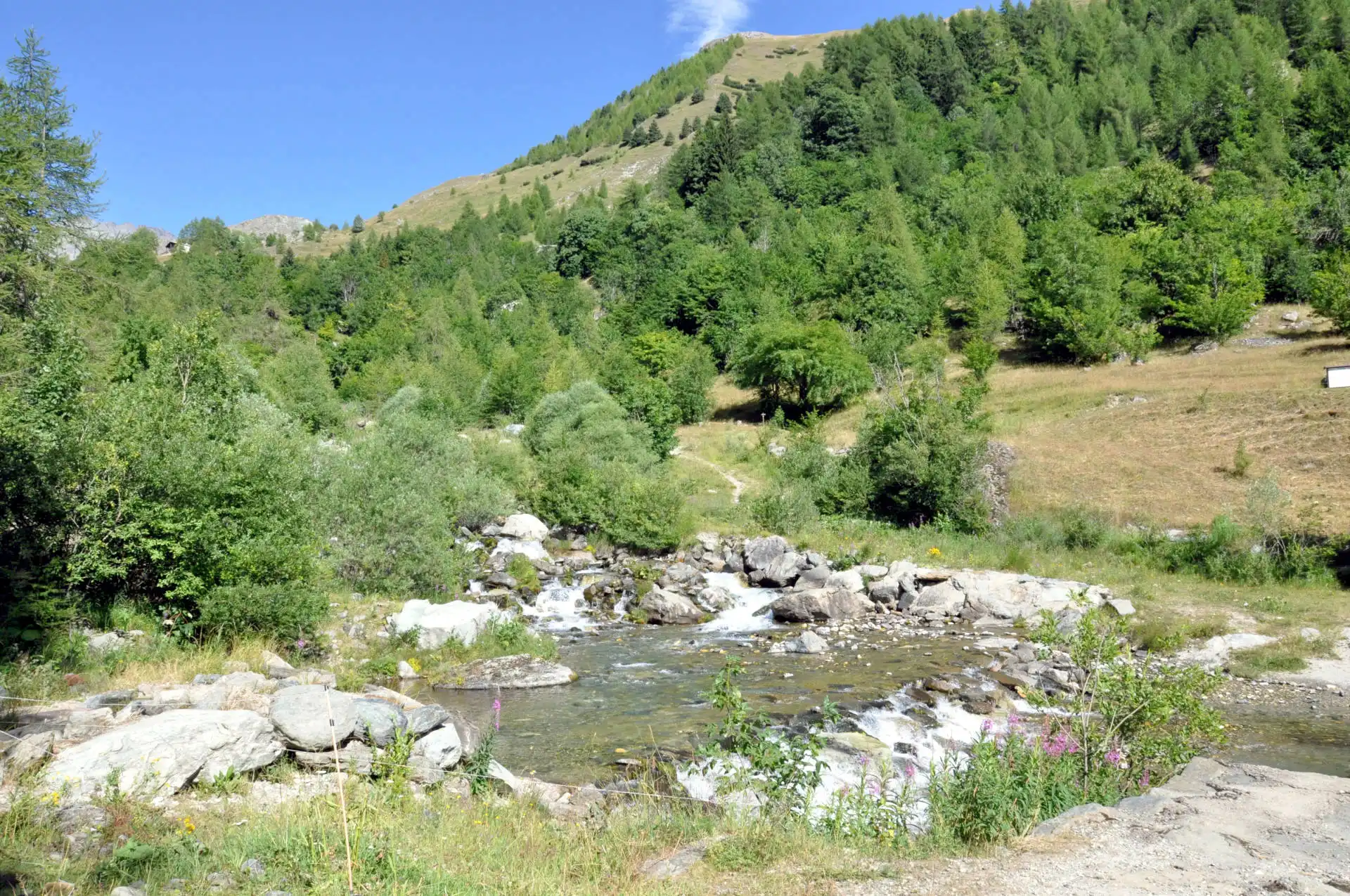 Quattro passi in montagna - Estate 2025 - Sentiero della Salute, Crissolo - Valle PO - Il racconto