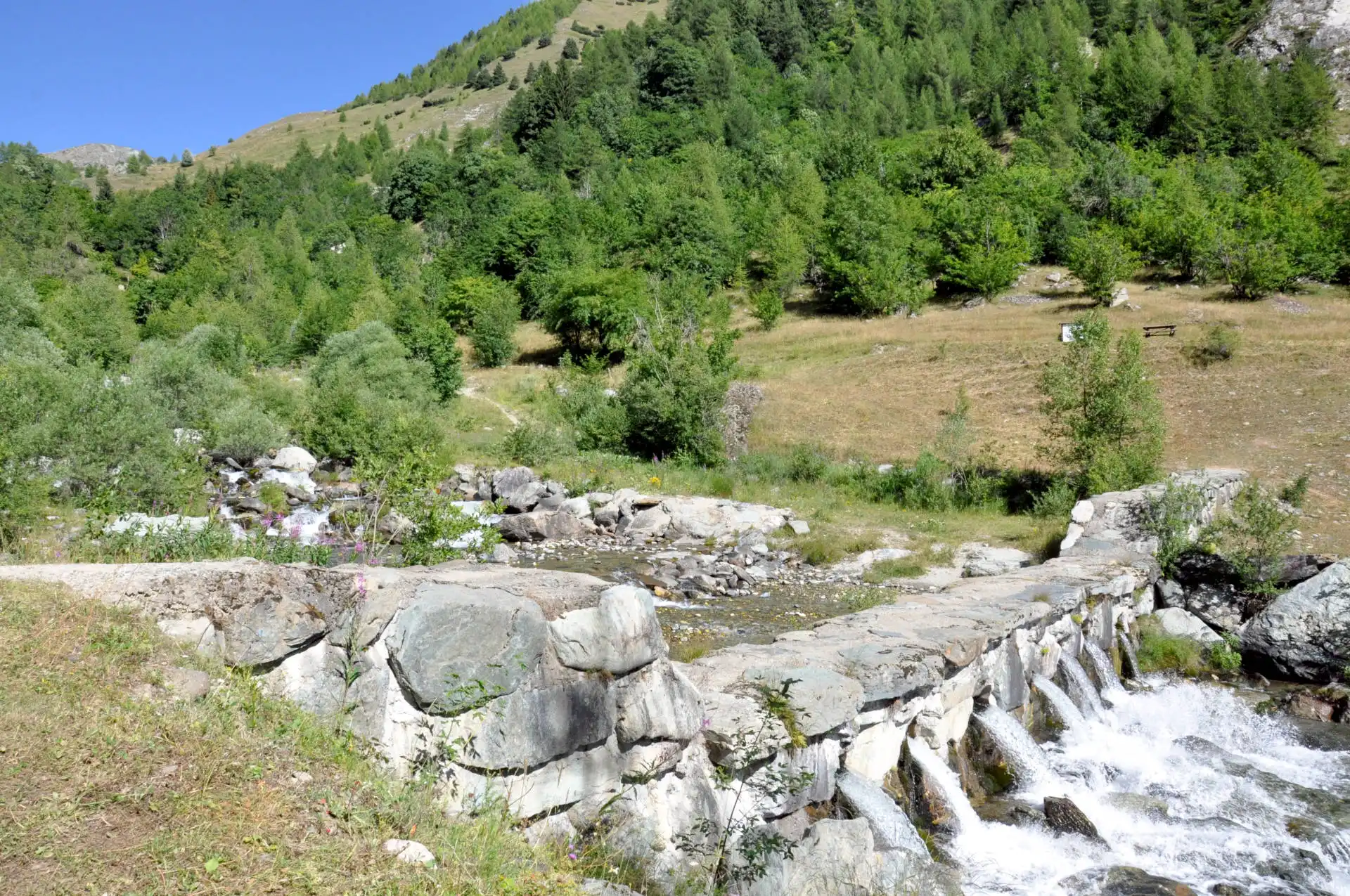 Quattro passi in montagna - Estate 2025 - Sentiero della Salute, Crissolo - Valle PO - Il racconto