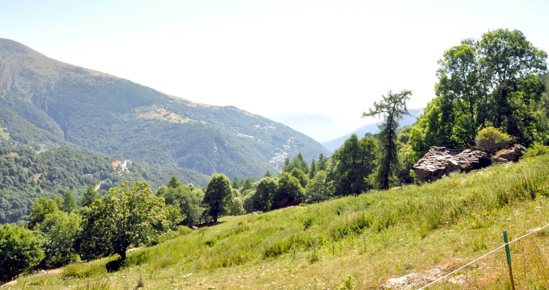 Quattro passi in montagna - Estate 2025 - Sentiero della Salute, Crissolo - Valle PO - Il racconto