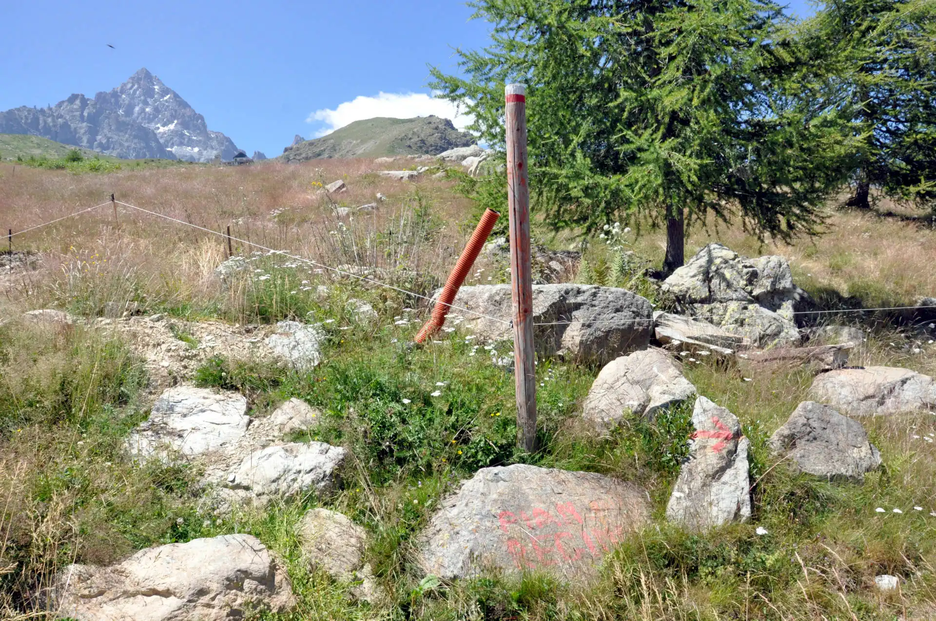 Quattro passi in montagna - Estate 2025 - Sentiero della Salute, Crissolo - Valle PO - Il racconto