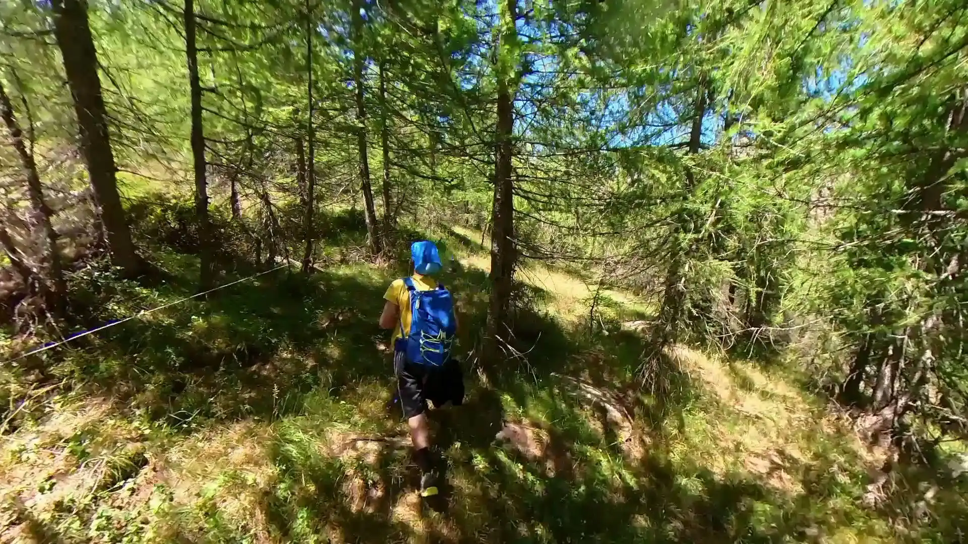 Quattro passi in montagna - Estate 2025 - Sentiero della Salute, Crissolo - Valle PO - Il racconto