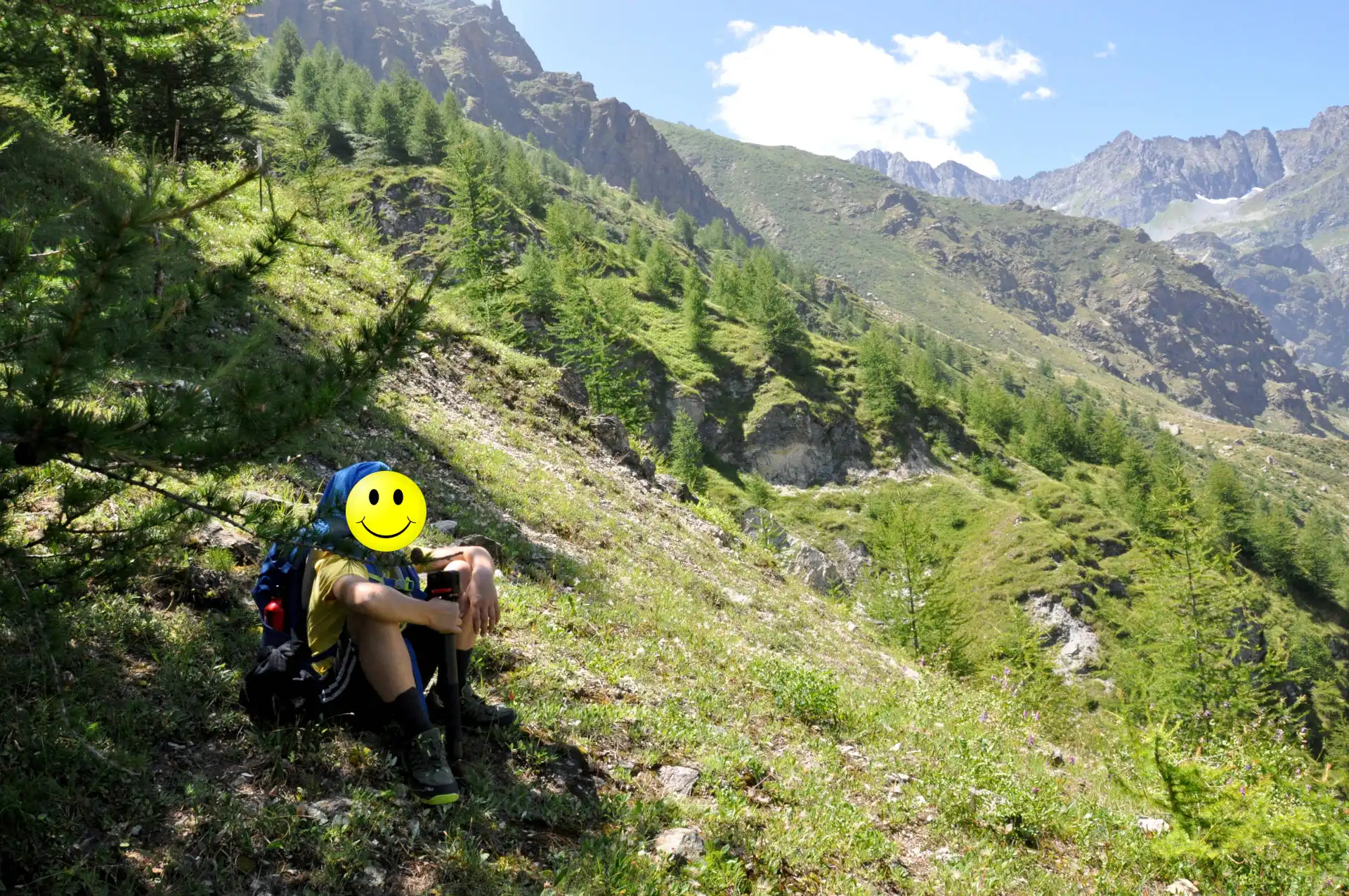 Quattro passi in montagna - Estate 2025 - Sentiero della Salute, Crissolo - Valle PO - Il racconto