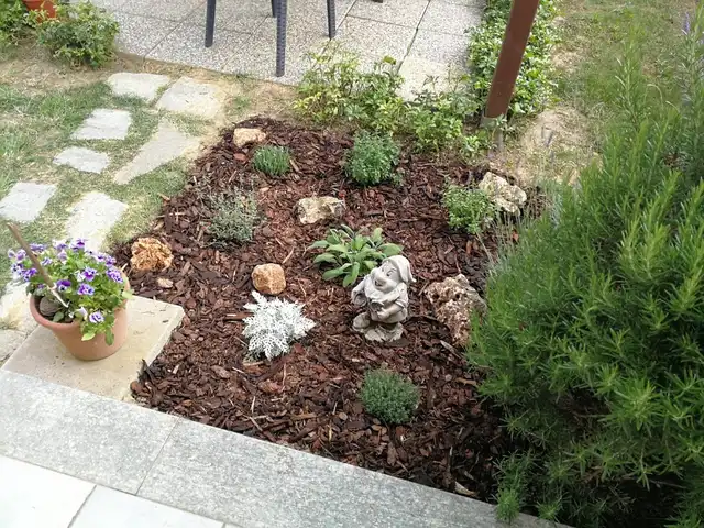 Un pò di giardinaggio - Aiuola di aromatiche work in progress