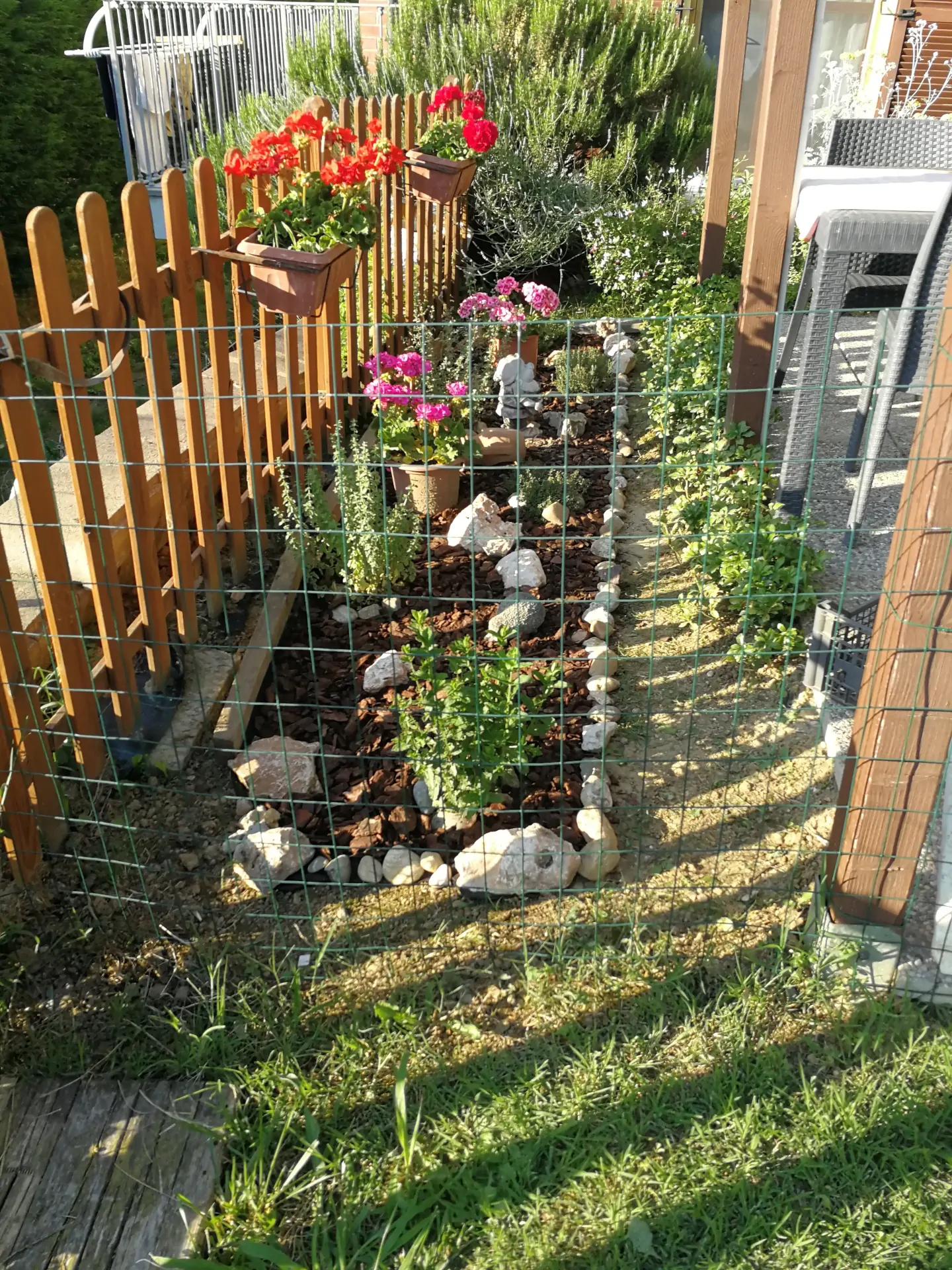 Un pò di giardinaggio - Aggiornamento