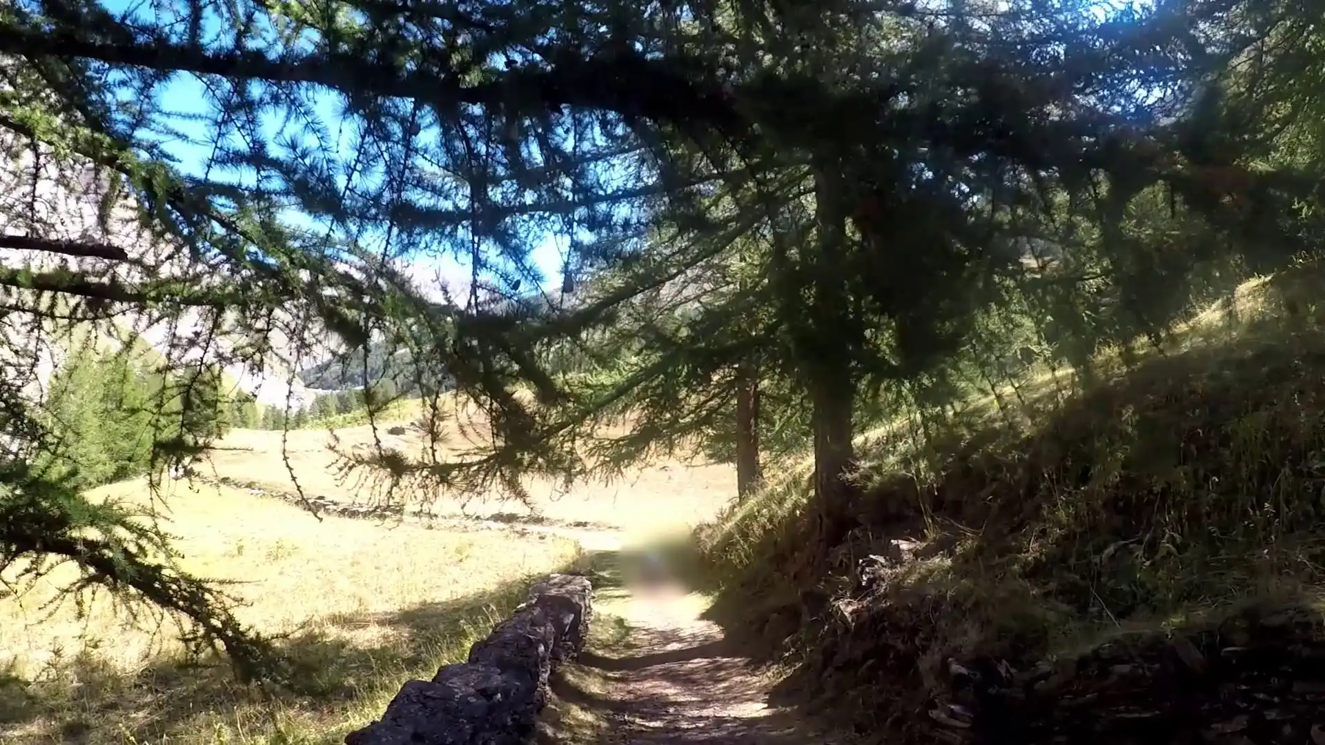 Quattro passi in montagna - Gita al lago di Rochemolles