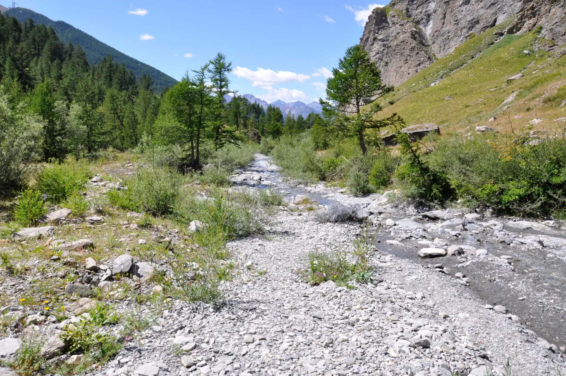 Quattro passi in montagna - Gita al lago di Rochemolles