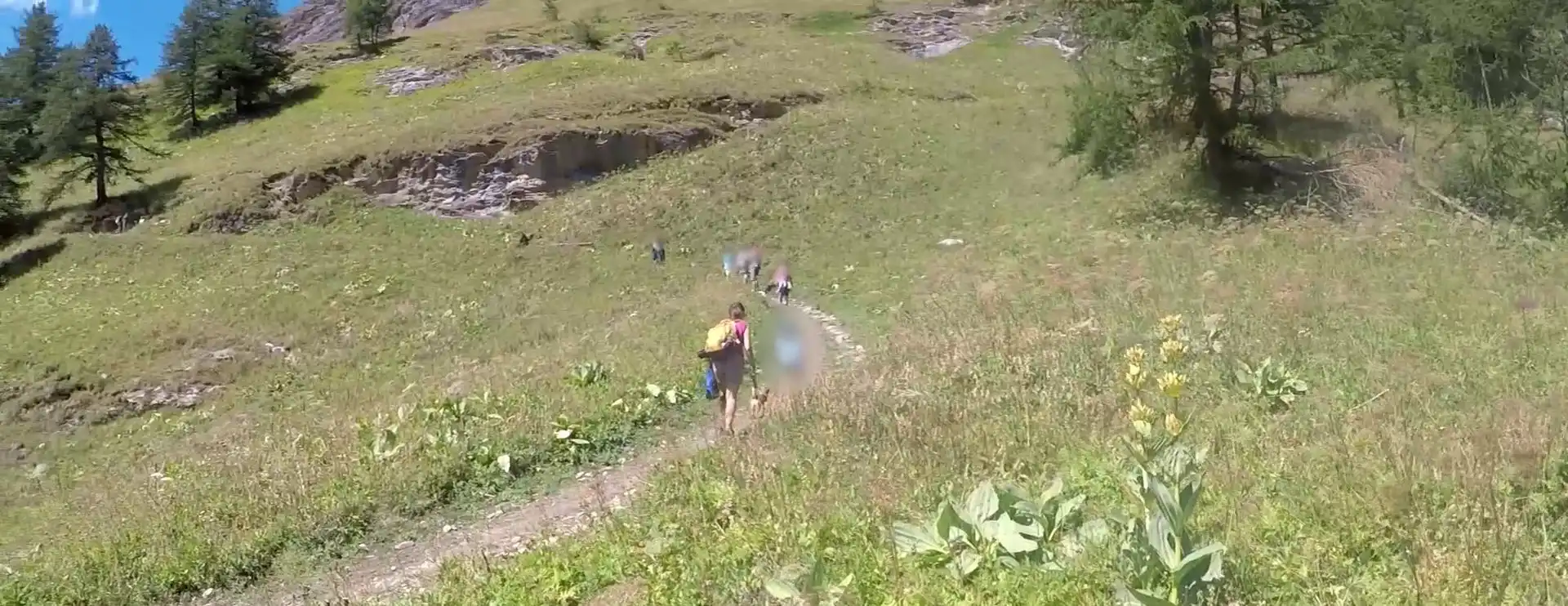 Quattro passi in montagna - Gita al lago di Rochemolles