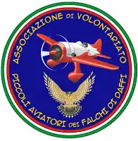 Piccoli Aviatori dei Falchi di Daffi